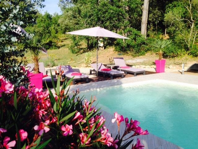 La Bastide De L'Issole Apartment Besse-sur-Issole Cameră foto